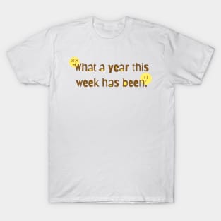 What a year this week has been. T-Shirt